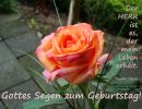 Psalm 54,6 b - Der Herr ist es, der mein Leben erhält