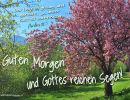 Psalm 116,5 - Der Herr ist gnädig und gerecht, ja, unser Gott ist barmherzig.