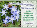 Psalm 16,8 - Ich habe den Herrn allezeit vor Augen; weil er zu meiner Rechten ist, wanke ich nicht.