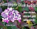 Gott segne Dich heute! - 5. Mose 31,6 b - ...denn der Herr, dein Gott, geht selbst mit dir;