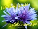 Lieben Dank für alles und Gottes reichen Segen!