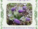 Psalm 32,7 - Du bist mein Schutz, du behütest mich vor Bedrängnis, du umgibst mich mit Rettungsjubel! (Sela.)