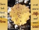 Psalm 33,20 - Unsere Seele harrt auf den Herrn; er ist unsere Hilfe und unser Schild.
