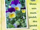 Sprüche 8,35 a - Denn wer mich findet, der findet das Leben.