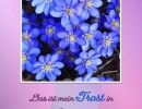 Psalm 119,50 - Das ist mein Trost in meinem Elend, dass dein Wort mich belebt.