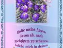 Psalm 119,37 - Halte meine Augen davon ab, nach Nichtigem zu schauen, belebe mich in deinen Wegen!