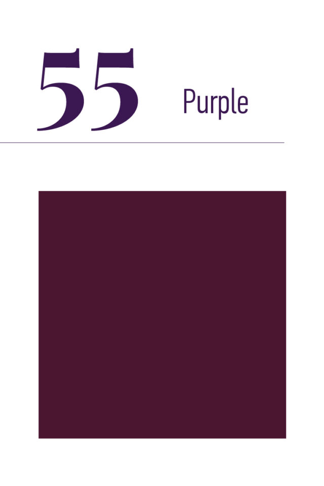 EXTREME Лак для ногтей - PURPLE 55