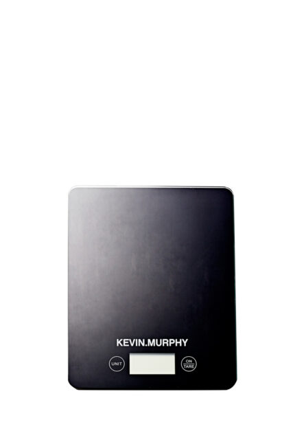 Electric scale
