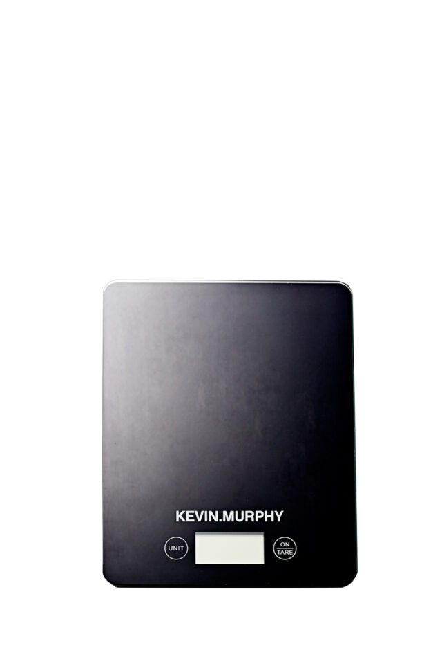 Electric scale
