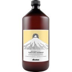 Davines New Natural Tech Purifying Shampoo - Шампунь очищающий против перхоти 1000 мл