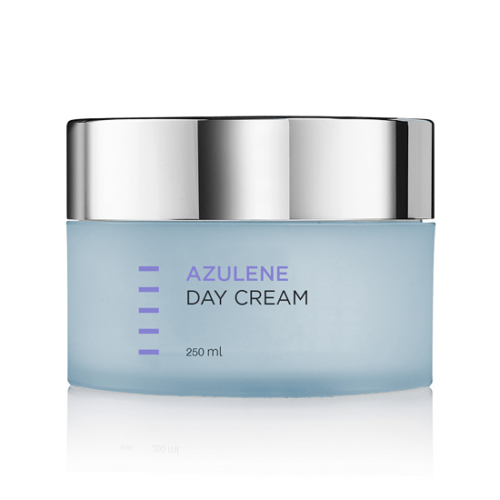 HOLY LAND Cosmetics HOLY LAND Azulen DAY CARE Дневной крем 250 ml