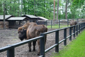 BIAŁYSTOK - ZOO