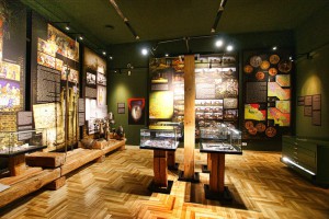 OPOLE - Muzeum Śląska Opolskiego - Gmach Główny