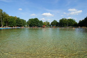 LIPNO - Baseny w lesie