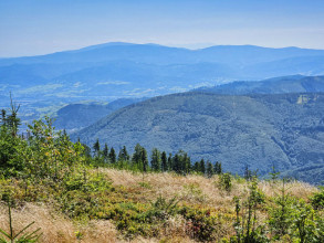 Beskidy na szlaku do Zbójnickiej Kopy