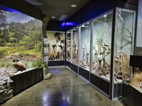 CIĘŻKOWICE - Muzeum Przyrodnicze