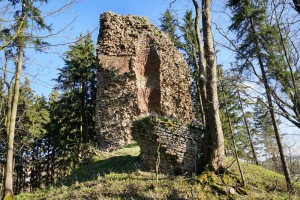 CZARNY BÓR - Zamek Lubno