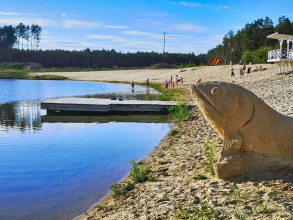 Widok z betonową rybą