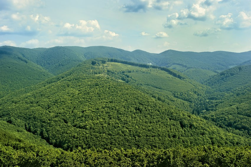 Widok na Góry Bukowe