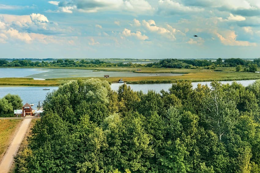 Widok z wieży