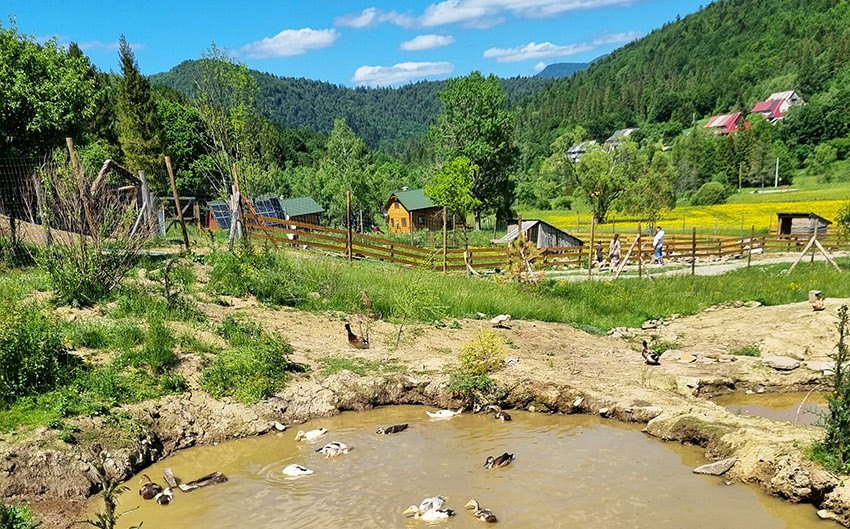 Mini-zoo w nowym miejscu