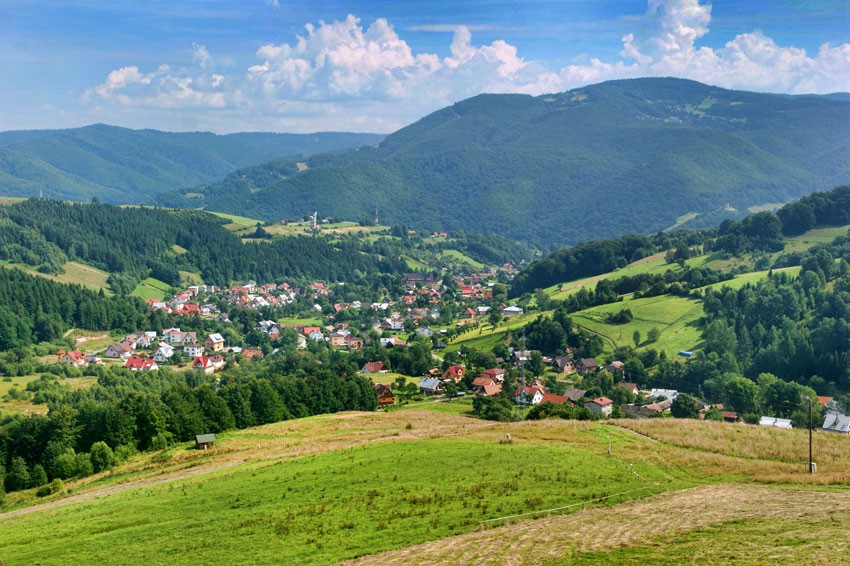 Widok z góry