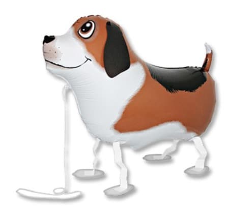 ходячий шар собака