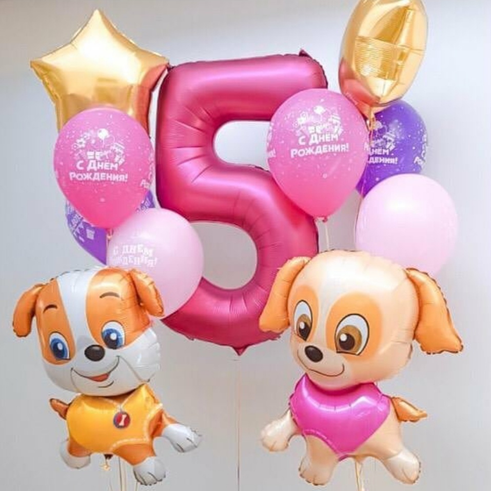 набор на 5 лет щенячий патруль