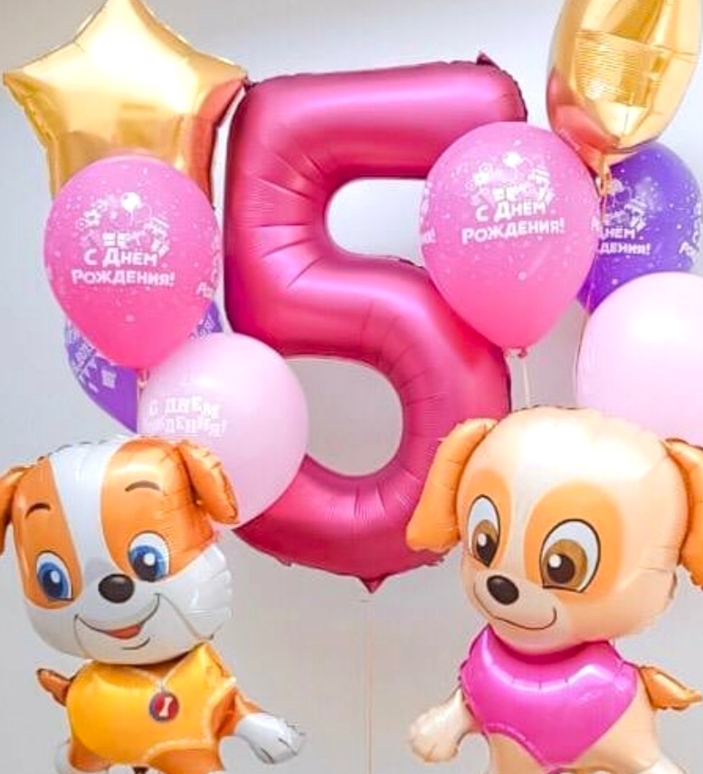 набор на 5 лет щенячий патруль