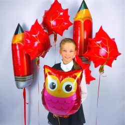 Набор шаров на 1 Сентября №6