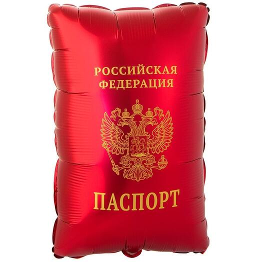 шар паспорт, фольгированный 54 см