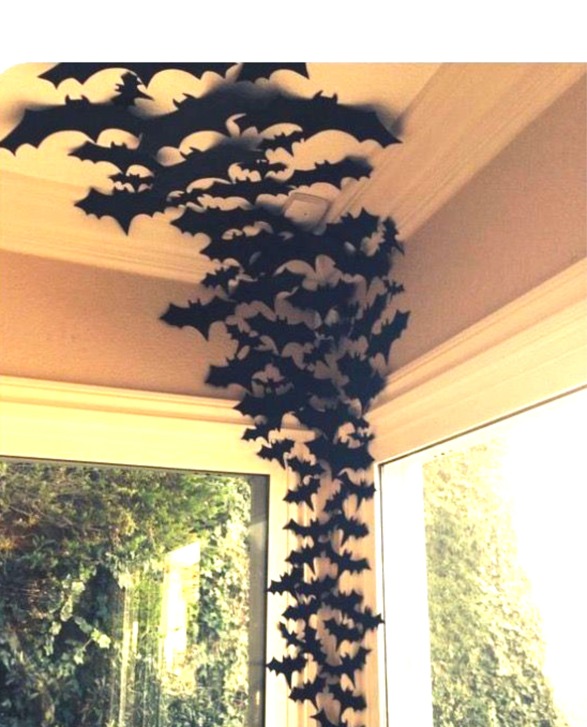 100 летучих мышей