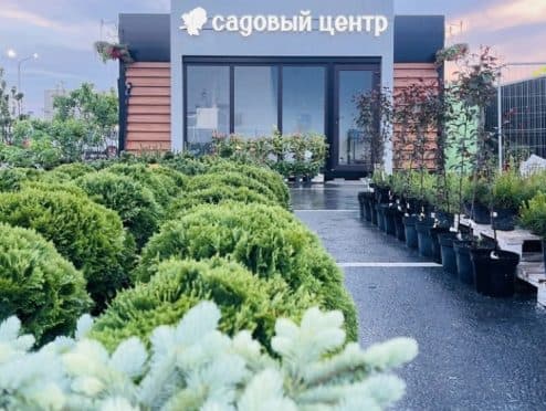 Калина-Парк садовый центр в ТРЦ "Одипарк"