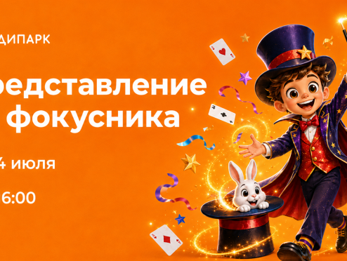 Представление от фокусника