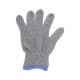 ALSANIDI, Camping Hand Gloves, Outdoor Gloves with Anti-Slip Grip, Gray, Size 14.5*24.5 Cm