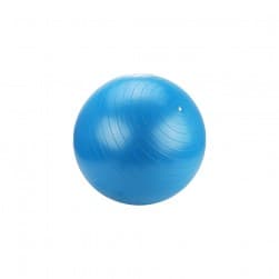 DPT, Rubber Ball for Sports and Yoga Exercises, Yoga Ball, Blue, Size 45 Cm