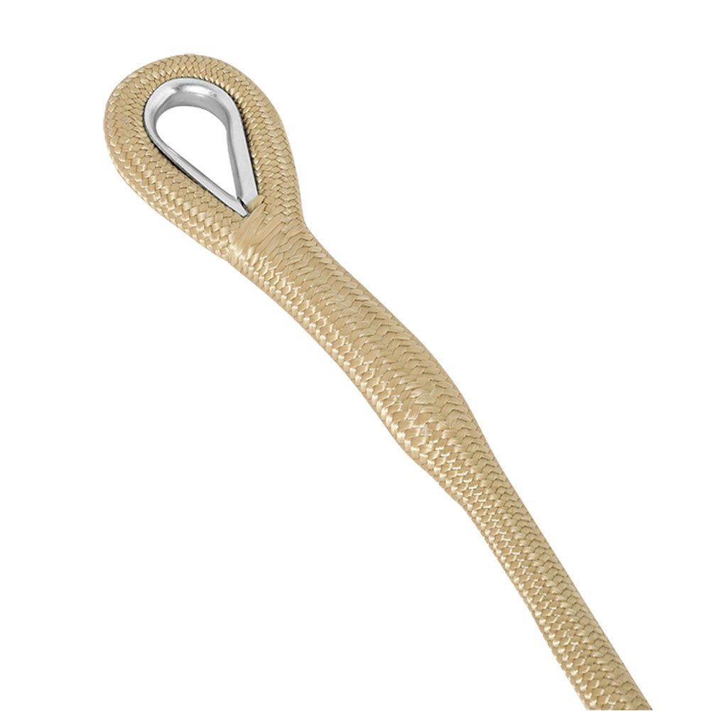 ALSANIDI, Flexible Ladder, Camping ladder, Sandy, Size 2.9 Metre load 1500 Gm