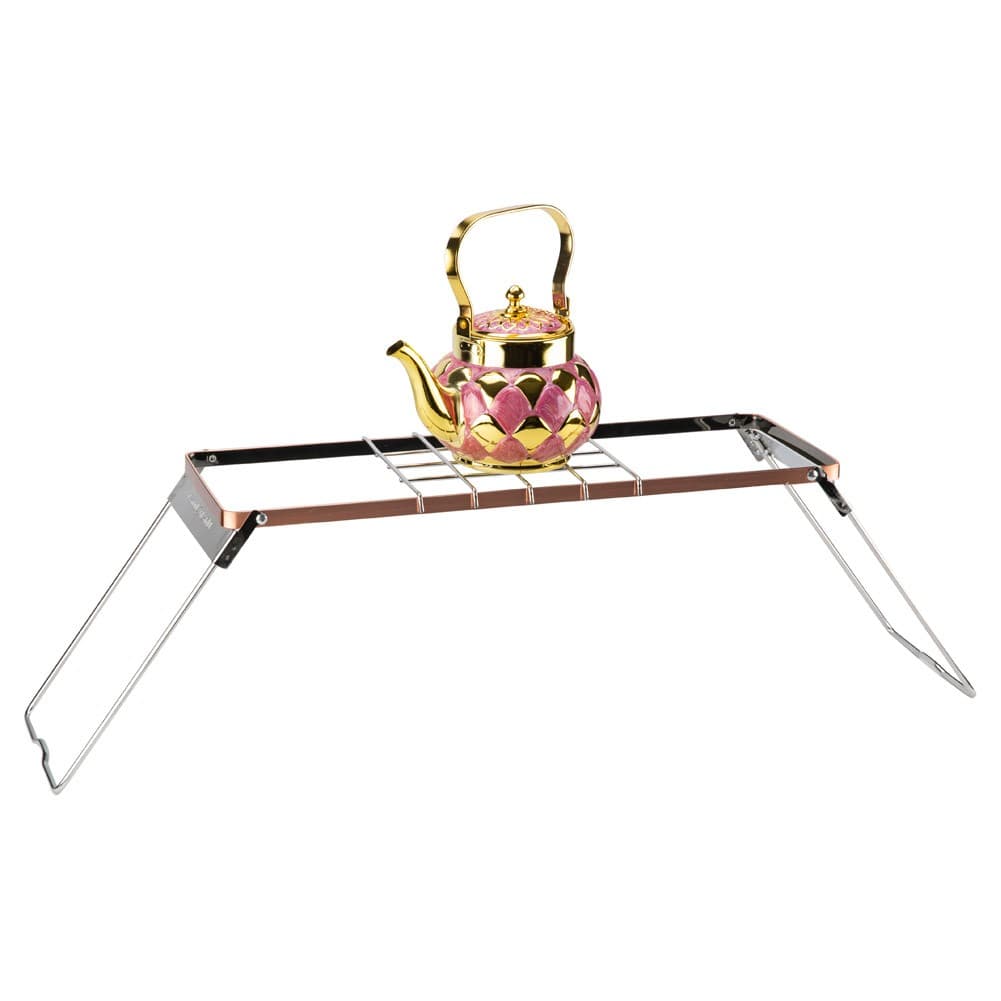 ALSANIDI, Multi-purpose Grill Stand, Portable mini barbecue charcoal grill for picnics, Silver, Size55*20*23Cm