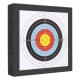 DPT, Archery targets, Black, Size48.5*48.5*10.5 Cm