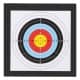 DPT, Archery targets, Black, Size48.5*48.5*10.5 Cm