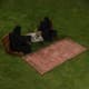 ALSANIDI, Ground seating mat for camping , Portable Camping and Hiking Floor Mat, Multicolored , Size200*100 Cm