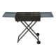 ALSANIDI, Mobile grill, Outdoor grill, Black, Size L:60+30*2*W:30*H77 Cm