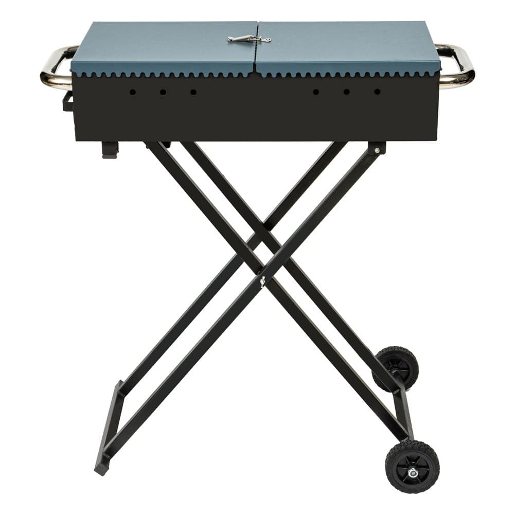 ALSANIDI, Mobile grill, Outdoor grill, Black, Size L:60+30*2*W:30*H77 Cm