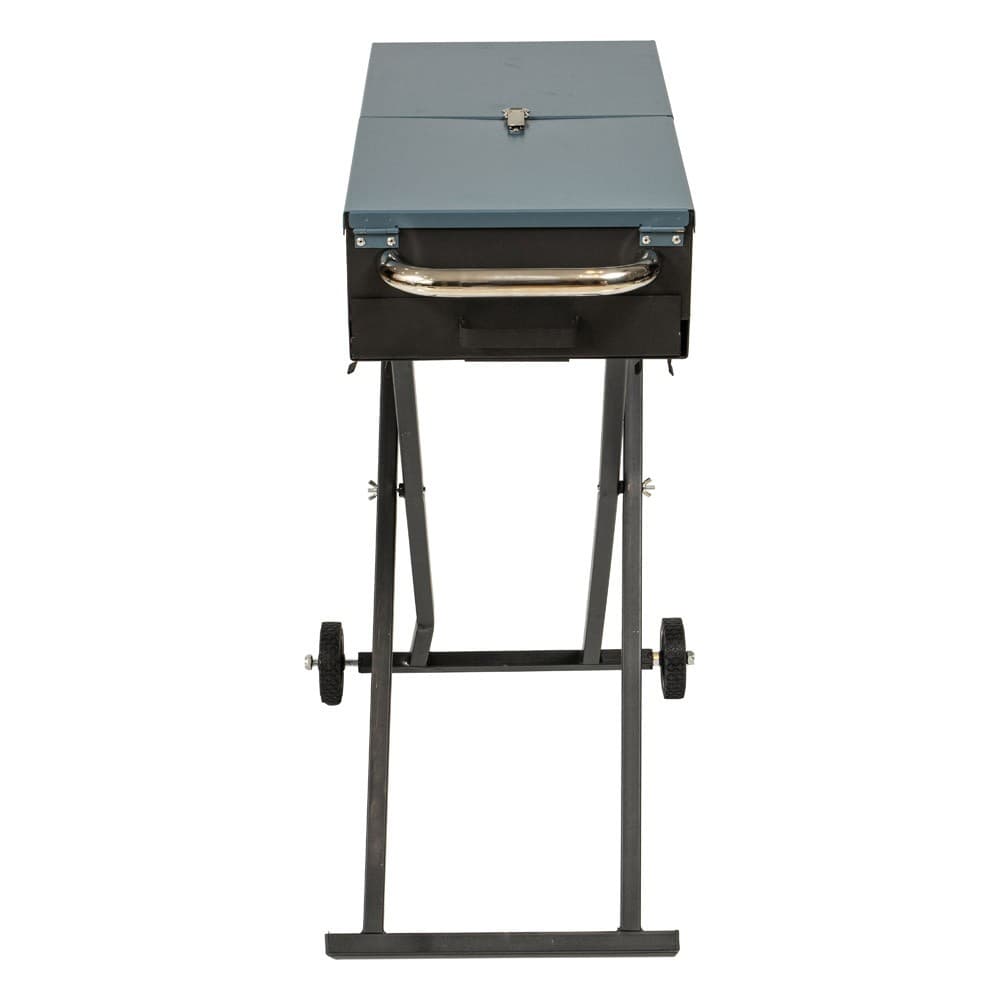ALSANIDI, Mobile grill, Outdoor grill, Black, Size L:60+30*2*W:30*H77 Cm