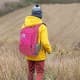Ghiking, Hiking bag, back bag, Pink Dark, Size 30.5*18*46.5 Cm