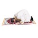 ALSANIDI, Memori Foam Prayer Rug, Comfortable Foam Prayer Rug, Red, Size 80*120 Cm