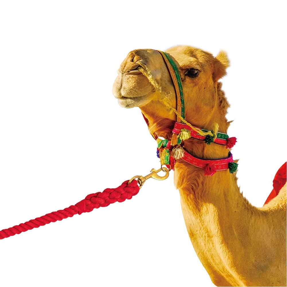 MAZAIN, Camel Bridle Reins, Red, Size200*2.5 Cm