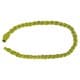 MAZAIN, Camel Hobble, Green, Size140*3 Cm