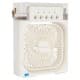 DPT, Air cooling fan, Small Fan, White, Size 21*9*26 Cm