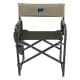 ALSANIDI, Foldable Camping Chair, Trips Chair, Green*Beige, Size48*56.5*:80 Cm